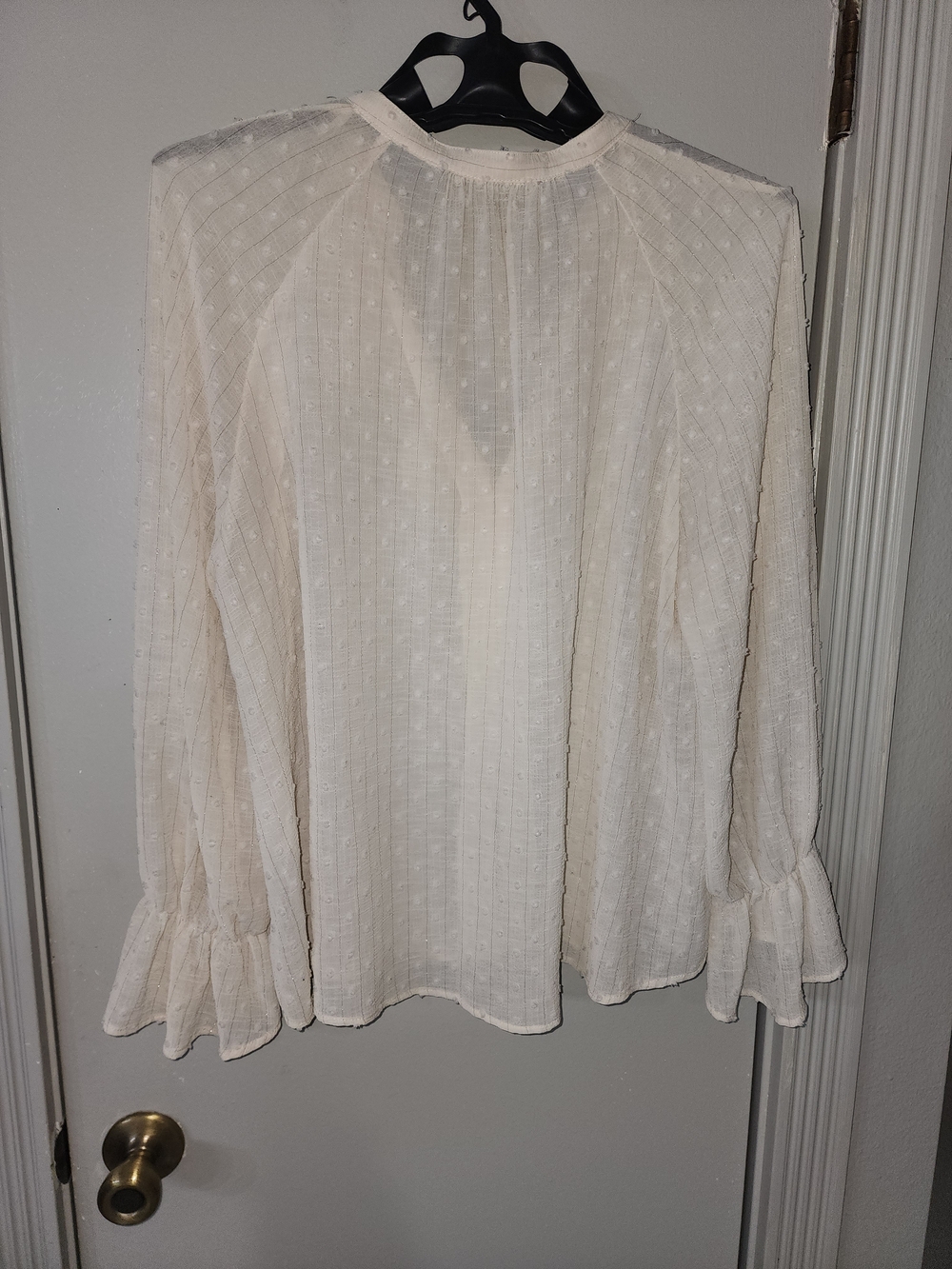 Zara Ivory Ruffle Front Sheer Blouse - Picture 11 of 12